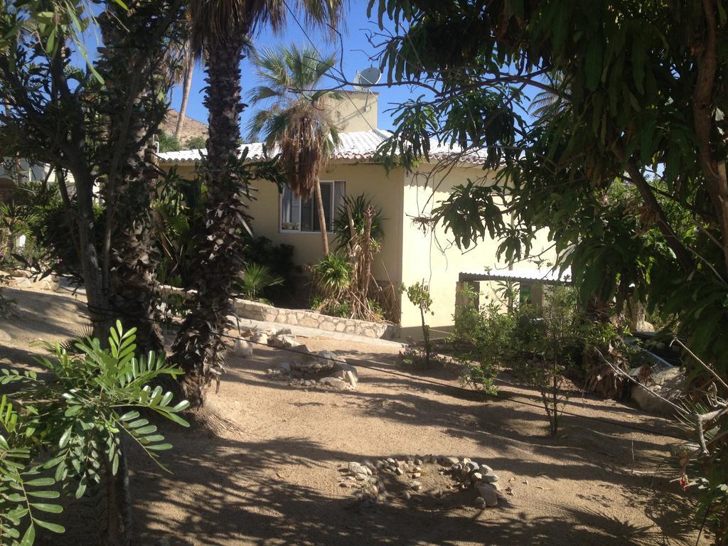 Surfer'S Paradise, Yoga&Food Garden@Costa Azul, Los Cabos San José del Cabo Εξωτερικό φωτογραφία